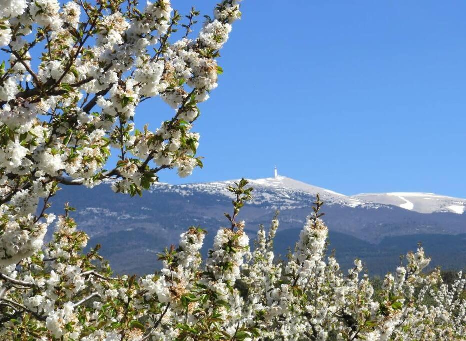 Les Tarraiettes Au Pied Du Luberon Villa Lourmarin Ngoại thất bức ảnh