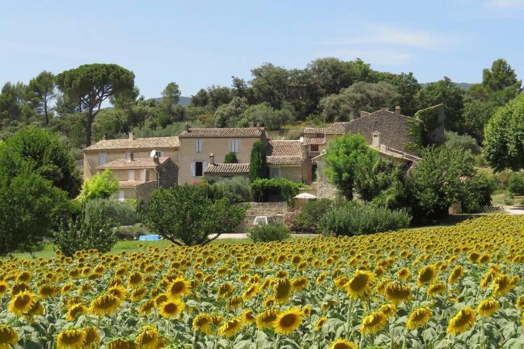 Les Tarraiettes Au Pied Du Luberon Villa Lourmarin Ngoại thất bức ảnh